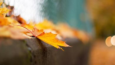 儿童易患白癜风的部位有哪些呢 儿童易患白癜风的部位有哪些呢.jpg